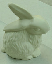 Load image into Gallery viewer, Easter-Thumper Rabbit - Solid