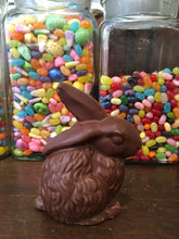 Load image into Gallery viewer, Easter-Thumper Rabbit - Solid